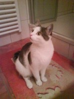 Profilbild