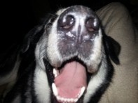 Profilbild