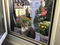 Profilbild