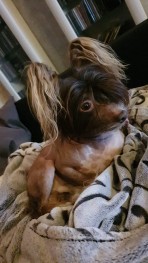 Profilbild