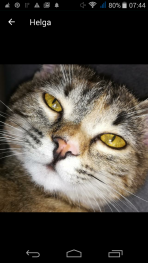 Profilbild